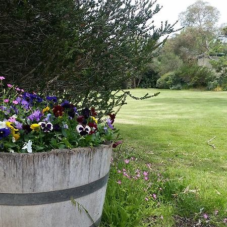 Padthaway Caravan Park 외부 사진